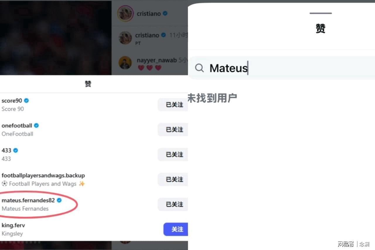 公海贵宾会官网相关图片