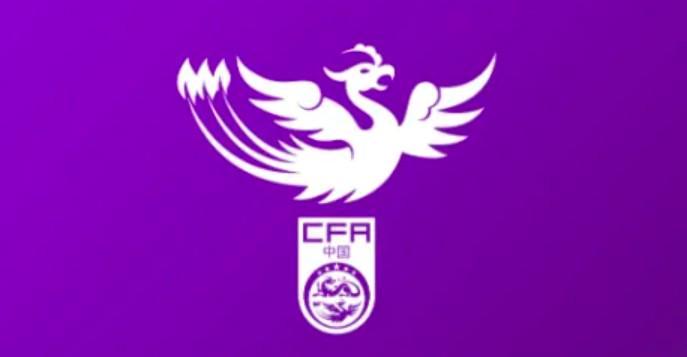 足协发布中国女足主帅选聘通知，目标2027世界杯、2028奥运会